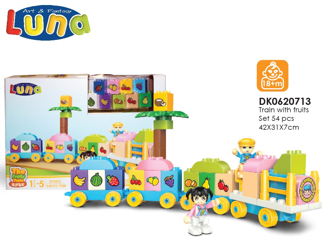 BLOCKS TRAIN FRUITS 47X30X9CM SET 54PCS LUNA