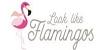 FLAMINGO - Distributore all'ingrosso