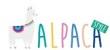 ALPACA - Distributore all'ingrosso